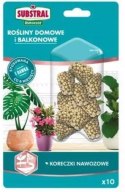 Nawóz Substral Small & Simple Koreczki Domowe i Balkonowe 10szt