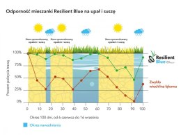 Trawa Na Ekstremalne Warunki Barenbrug Tough & Easy Resilent Blue Otoczkowana 5kg